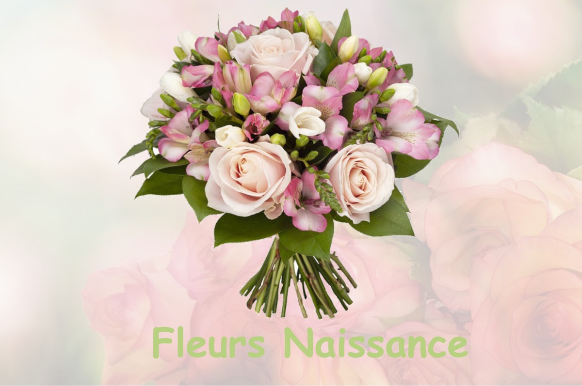 fleurs naissance MAUVEZIN-DE-SAINTE-CROIX